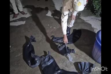 গুৱাহাটী: বশিষ্ঠ আৰক্ষীৰ চুলাইৰ বিৰুদ্ধে অভিযান