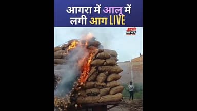 आलू में विद्युत तार टच कर गया फिर देखिए आलू में आगरा. #reels #potato #agra