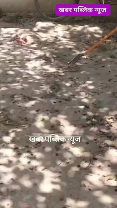 कठौरा गांव में दिखे दो खतरनाक सर्प, मचा हड़कंप | वन विभाग ने रेस्क्यू ऑपरेशन कर पकड़ा
जगदीशपुर के कठौरा गांव में रोड न...