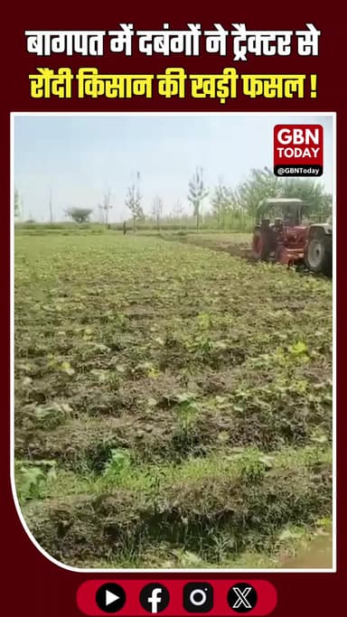 बागपत: हरियाणा के किसानों और प्रशासन की दबंगई, ट्रैक्टर से रौंद डाली कोताना की खड़ी फसल।
#BaghpatNews #FarmerDispute
