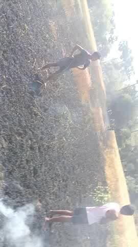 Jehanabad district makhdumpur gosaimath khalkochak ke bagal me 1 bigha jal gya gehu