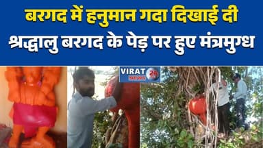 रीवा: बरगद में हनुमान गदा दिखाई दीश्रद्धालु बरगद के पेड़ पर हुए मंत्रमुग्ध#Rewa #MiracleTree #Hanuman #Faith #ReligiousN...