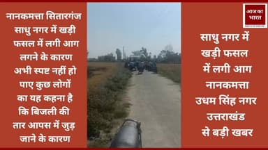 साधु नगर में खड़ी फसल में लगी आग #dmudhamsinghnagar