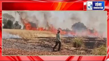 खेत में खड़ी फसल में लगी आग, नाराज किसानों ने सड़क पर बैठ किया चक्काजाम।
#किसान #khurai #आग #नुकसान #परेशान