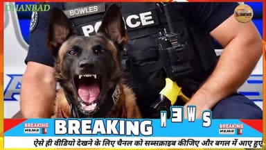 ईमेल से धमकी, कोर्ट परिसर में मचा हड़कंप#ssp #dc #news #court #dhanbadcourt #barassociation