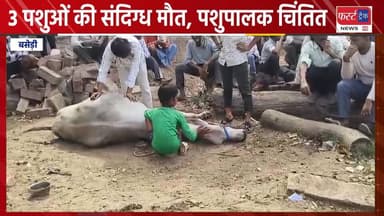 धौलपुर के बसेड़ी इलाके में 3 पशुओं की संदिग्ध मौ*त, पशुपालक चिंतित।
#DholpurNews #RajasthanNews #BreakingNews #धौलपुर #बस...