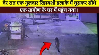 #पिरान_कलियर क्षेत्र के धनौरा गांव से एक बेहद डरावनी और हैरान कर देने वाली घटना सामने आई है। देर रात एक गुलदार रिहायशी इ...