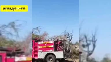 ધ્રાંગધ્રા: ઇસદ્રા સીમમાં વાડીની વાડમાં આગ: ફાયર ટીમની ત્વરિત કામગીરીથી પાક બચ્યો