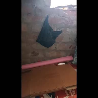 कार्टन ka ghar hai or glue