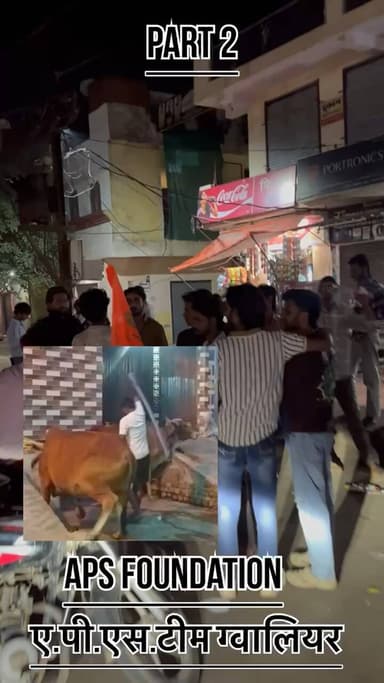 गौ माता के सम्मान में ए.पी.एस टीम ग्वालियर मैदान में 🙏 जो जैसा करेगा उसके साथ उहइ हम करेगे..!#apsgurjar #viral #gwalior