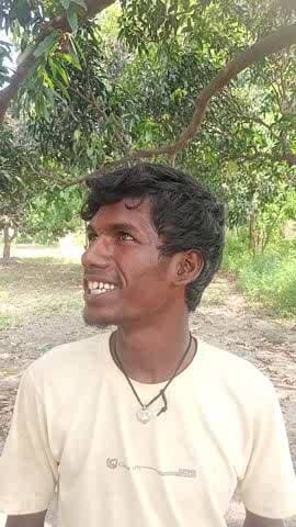 खगड़िया जिला का मानसिक प्रखण्ड में कुटिया गांव में लालमुनि यादव का बगीचा में आम आदमी आया और घर गया कृषि मंत्री से आगरा