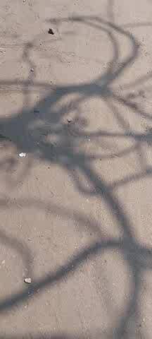 रामनवमी के दिन kay ho रहा hai गिरीडीह पर
#shorts @sumit.ipm