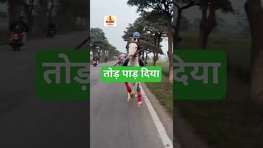 घोड़े की रफ़्तार ने बढ़ाया सवार का हौंसला #kesarikiawaaz #motivation #india #shortvideo #shorts