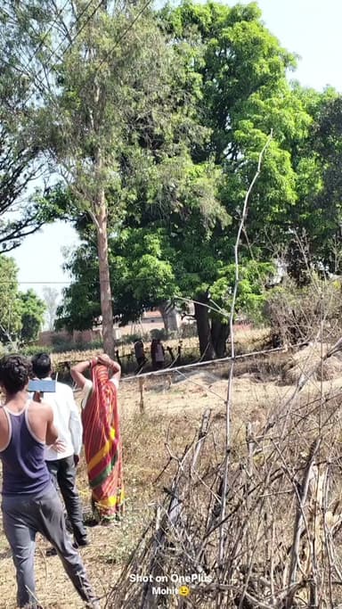 स्थान: ग्राम साखी, वार्ड क्रमांक 9
दिनांक: 27 मार्च, 2026 (वीडियो के अनुसार)
मुख्य आरोपी: . शिव प्रसाद राठौर (उर्फ शिबू