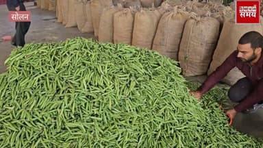 मटर के रेट में लगातार गिरावट से किसान मायूस
हिमाचल समय - Himachal Samay Media #vikrmadityesingh #heavysnofall #solansubj...