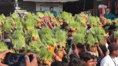 पाली: जवारा जुलूस को ऐतिहासिक बनाने के लिए हेलीकॉप्टर से हुई पुष्प वर्षा, बिरासनी सेवा समिति की अनूठी पहल