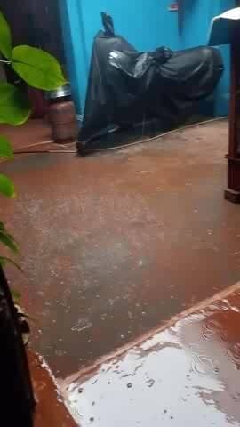 yah video ghar ke andar ka hai Ghar ke bhar kya hal hoga bhai sahab @