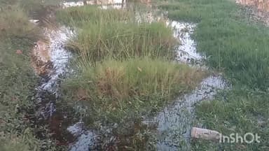 પેટલાદ: દેવકુવા વિસ્તારના કબ્રસ્તાનોમાં પાણી ભરાયા,કબરો ડૂબી,નગરપાલિકા તંત્રની બેદરકારી