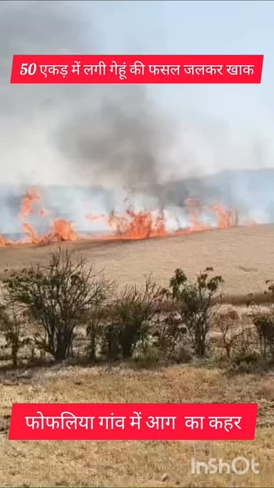 शाहपुर ब्लॉक के फोफलिया में आग का कहर