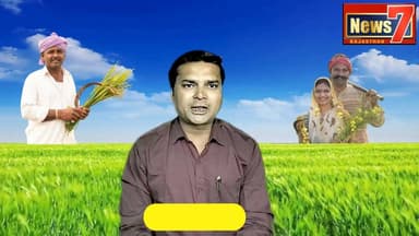 #news गंगापुर सिटी अनाज मंडी के भाव #gangapurcity #anajmandi