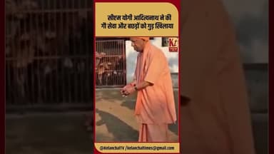 सीएम योगी आदित्यनाथ ने की गौ सेवा और बछड़ों को गुड़ खिलाया #shorts #trending #cmyogi #like #comment