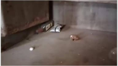 #देहरादून नगर #निगम की पोल खोलता वायरल वीडियो।
#followerseveryonehighlight
#viralvideo