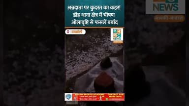 रायबरेली: अन्नदाता पर कुदरत का कहर! डीह थाना क्षेत्र में भीषण ओलावृष्टि से फसलें बर्बाद #uncutnews