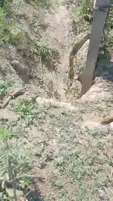 हसनपुर: सिरसा कला मुस्तकम में विशाल अजगर सांपों का कहर नहीं सुन पा रही बन विभाग की टीम