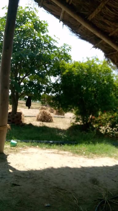 karari kaushambieairgdaopshcypacf