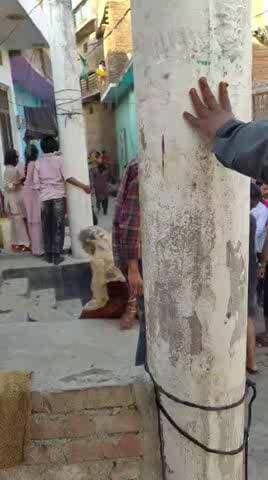 मोहल्ला जुगियाना कस्बा सफीपुर जनपद उन्नाव लड़ाई झगड़े का वीडियो हुआ वायरल लाठी डंडे चलाते हुए दिखे लोग कई लोग घायल हो