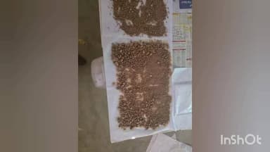 ಹುಣಸೂರು: ಹುಣಸೂರಿನಲ್ಲಿ ಸಿಂಥೆಟಿಕ್ ಡ್ರಗ್ಸ್ ಪತ್ತೆ