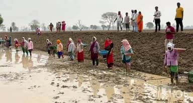 नगरी: सफेद सोना की खेती की शुरुआत, महिलाओं के हाथों सजेगा आत्मनिर्भरता का सपना