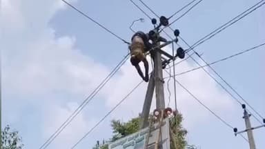 ಶ್ರೀರಂಗಪಟ್ಟಣ: ಹೆಬ್ಬಾಡಿ ಗ್ರಾಮದಲ್ಲಿ ವಿದ್ಯುತ್ ಪ್ರವಹಿಸಿ ಗುತ್ತಿಗೆ ನೌಕರ ಸಾವು