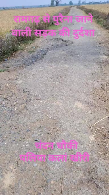चंदन चौकी क्षेत्र में रामगढ़ से पुरैना जाने वाली सड़क की दुर्दशा पलिया कलां खीरी #chandanchauki #palia #kheri #dudhwa