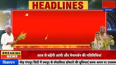 #news गंगापुर सिटी अनाज मंडी के भाव #gangapurcity #anajmandi