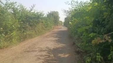 हिंगोली: हिंगोली जिल्ह्यात अवैध धंद्यांवर पोलिसांची धडक कारवाई मोहीम