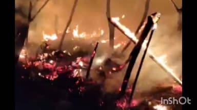 विदिशा नगर: भीषण आग में झुलसीं 4 गायें, ग्रामीणों ने 5 को बचाया