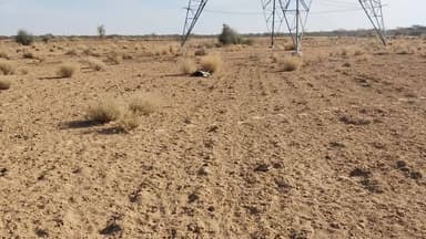 बिजली की लापरवाही के कारण मेरी भेङ,बकरीया मर गई है वीर सिंह निवासी गांव निंबा मंडाई से साजित आती है #