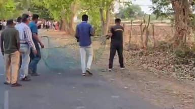 कवर्धा: समनापुर में आक्रामक हनुमान लंगूर का सफल रेस्क्यू, वन विभाग की त्वरित कार्रवाई