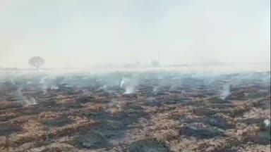 जीरापुर: मेलखेड़ी में शॉर्ट सर्किट से किसानों की गेहूं की फसल में आग, भारी नुकसान