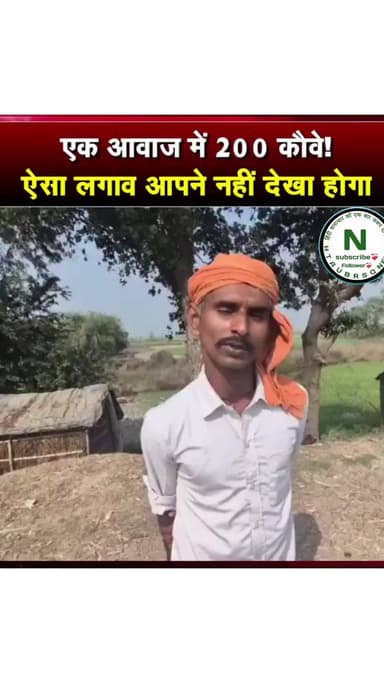 एक आवाज में 200 कौवे ! ऐसा लगाव आपने नहीं देखा होगा #shorts #htaubrsq #news