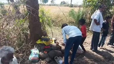 अद्भुत चमत्कार खेत का काम करते समय निकला शिवलिंग, भक्तों का उमड़ा जनसैलाब।
#आस्था #भोलेनाथ #खर #younghindustaannews