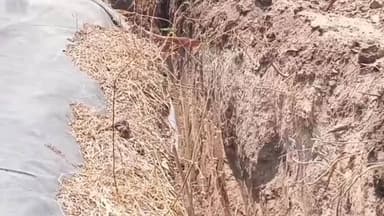 मिरज: बेळंकी येथे वयोवृद्ध शेतकऱ्याला मारहाण व माती चोरी सोबतच शेतातील पाईपलाईन शेततळ्याचे मोठे नुकसानीचा आरोप.