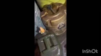 अमेठी: अमेठी पुलिस और खाद्य विभाग की संयुक्त कार्रवाई में 1400 लीटर अवैध डीजल बरामद