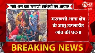 Koderma News: हाथियों का कहर जारी, चार दिनों में तीन की मौ'त, महुआ चुनने गई महिला को कुचलकर मारा
#koderma #jharkhand #e...