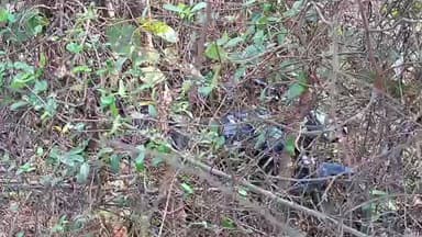 कुरमन जंगल में फिर मिला संदिगध अवस्था में एक बाइक!
#dcgodda