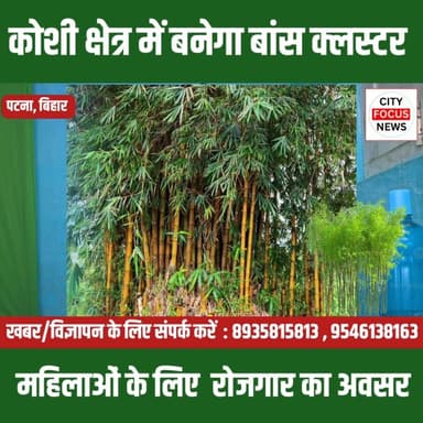 कोसी क्षेत्र में बनने जा रहा है बांस कलस्टर , मिलेगा लोगों को रोजगार !
#cfnnews #awereness #BiharNews #bamboocluster #v...