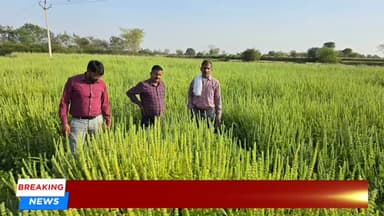 मजबूत सिंह गुर्जर की प्राकृतिक खेती से सफलता: 0% लागत में दो क्विंटल से अधिक उत्पादन || SHIVPURI NEWS EXPRESS
#shivpur...