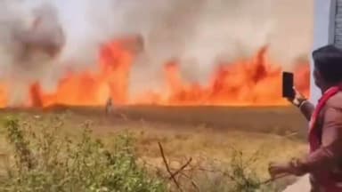 गुरसराय-एरच रोड पर किसान के 50 बीघा से ज्यादा खेत में लगी आग #किसान #jhansi #खेत