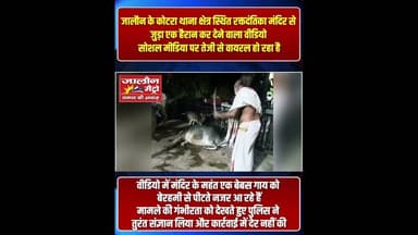रक्तदंतिका मंदिर के महंत और उसके एक साथी द्वारा एक बेबस गाय को बेरहमी से पीटने का वीडियो वायरल